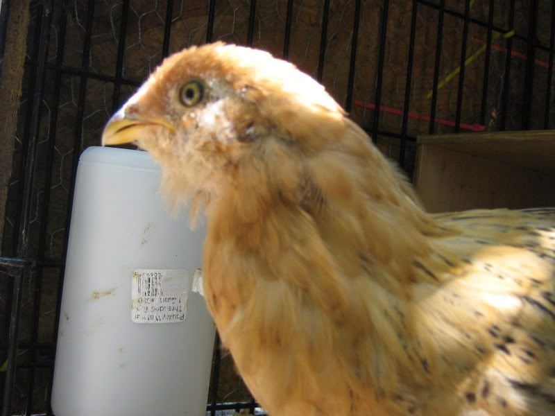 MunkandJoon048.jpg