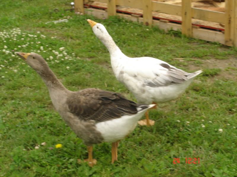 DSC01835.jpg
