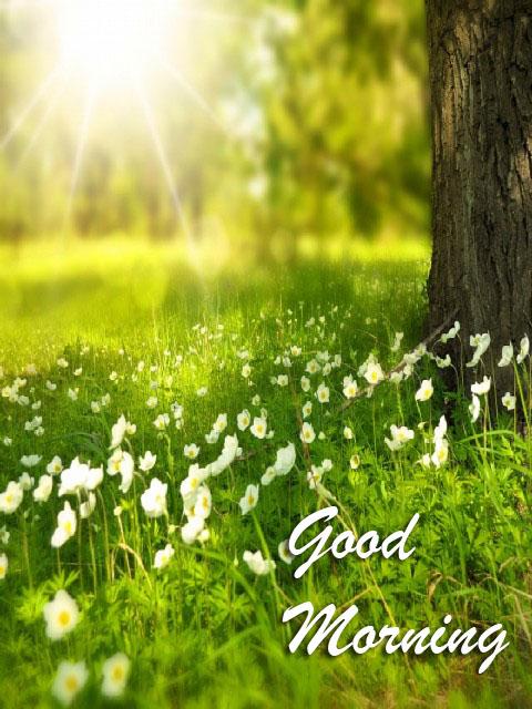 M9VnwXID7CqcViNSEfk49CBIA_gQ1cmYr-2d_xUFayUil-eDDY63dyiTumHsdPCLCqhq=h900