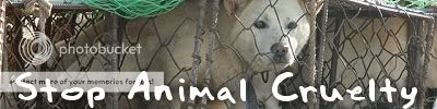 animalcruelty.jpg