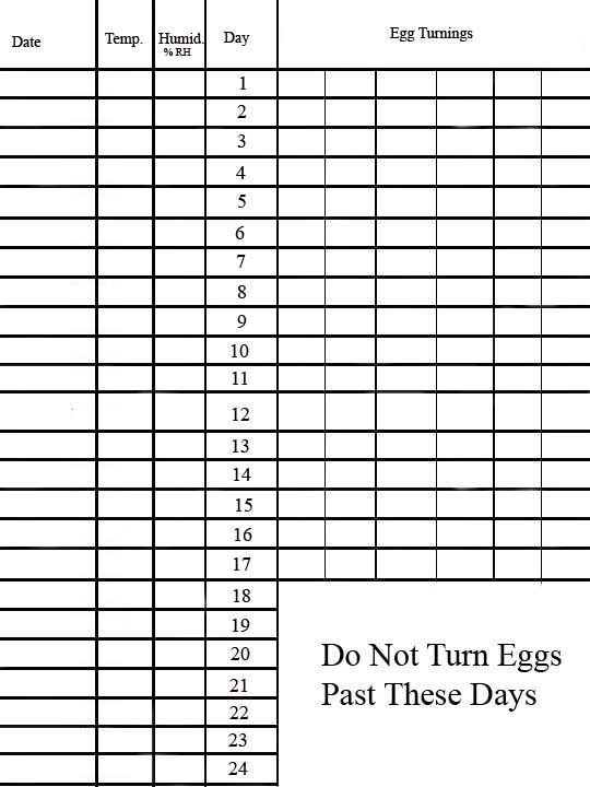 IncubationscheduleII.jpg