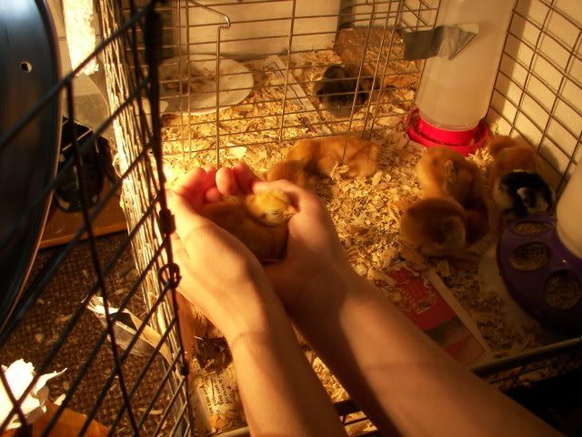 100_2089.jpg
