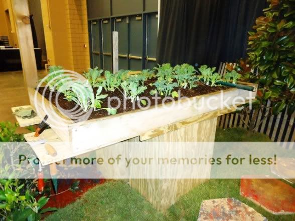 Raised-Bed-for-Wheelchairs-588x4411.jpg