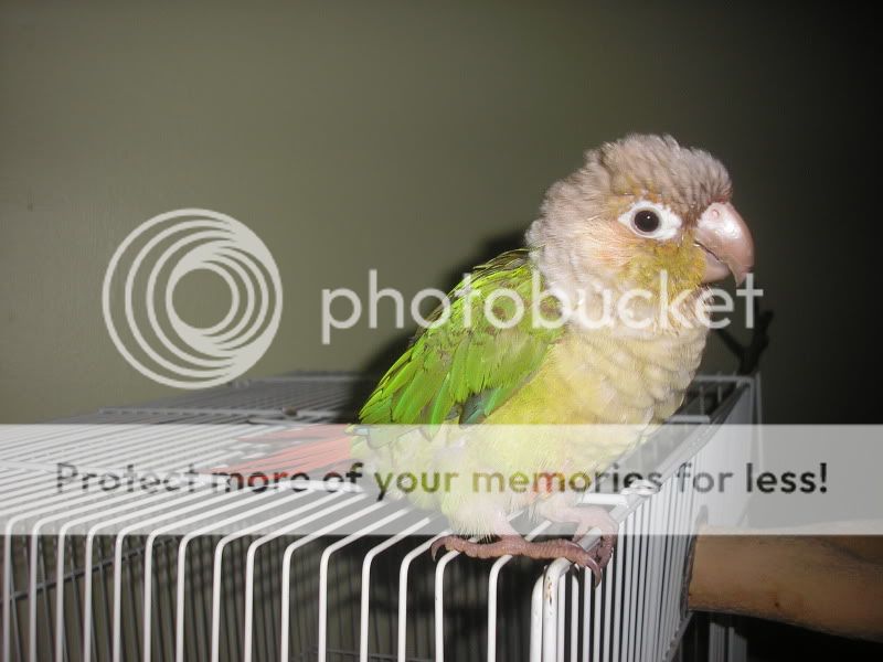 P1010052-1.jpg