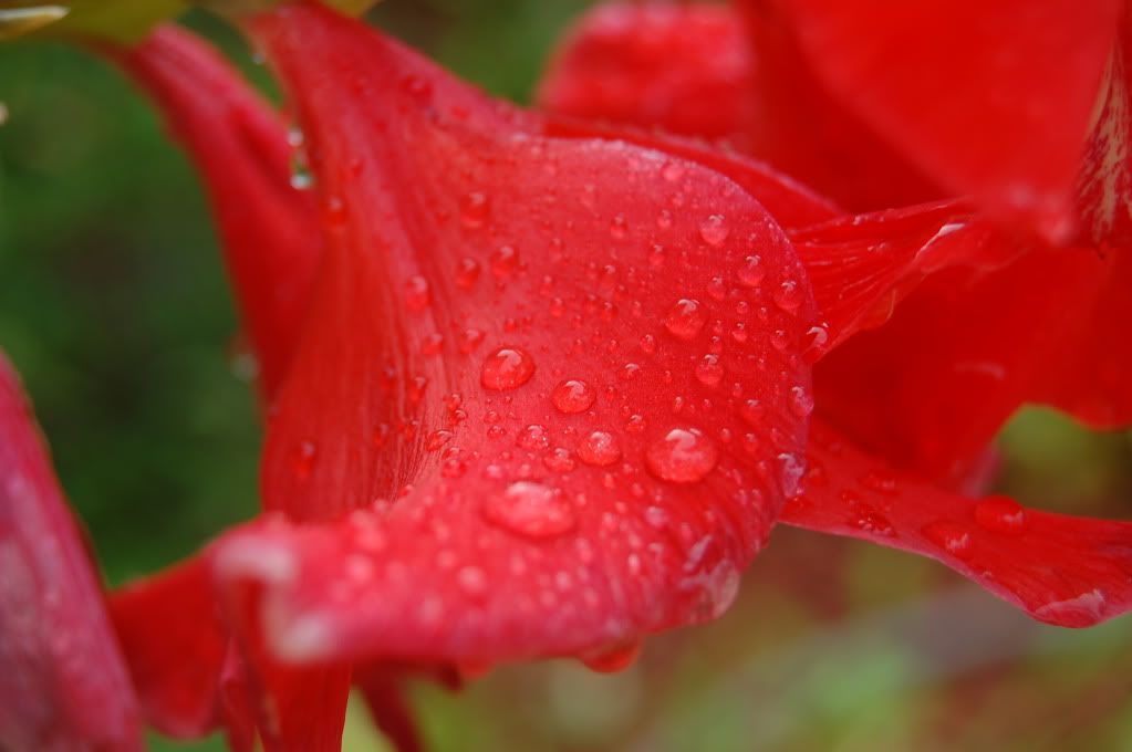 DSC_0001.jpg
