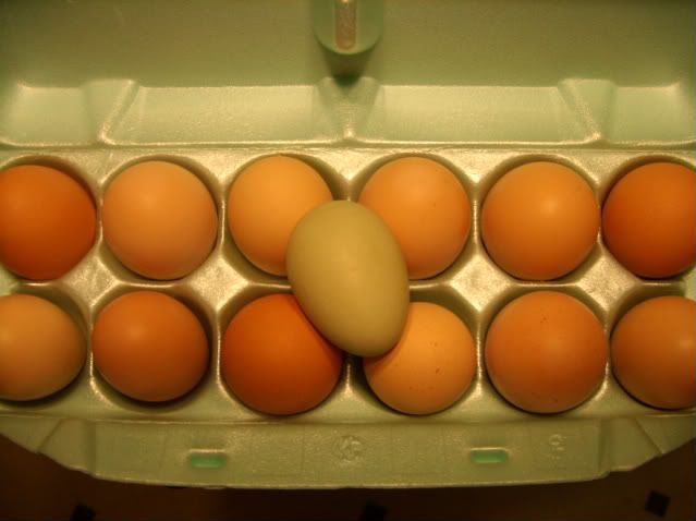 MomsEggs.jpg