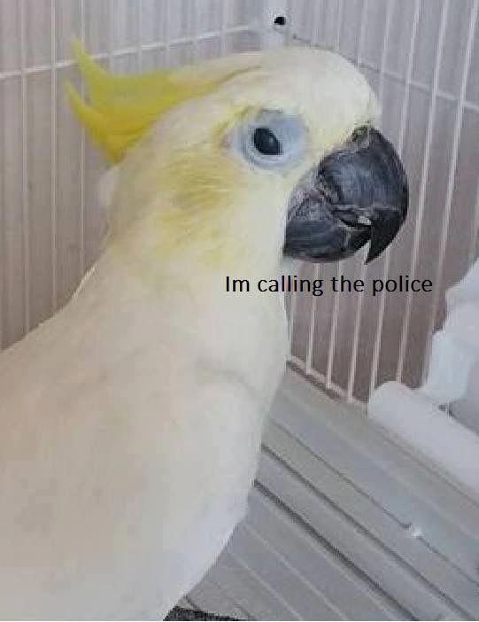 cf25f1aa8af47e4e1b3df1efdcedb457.jpg