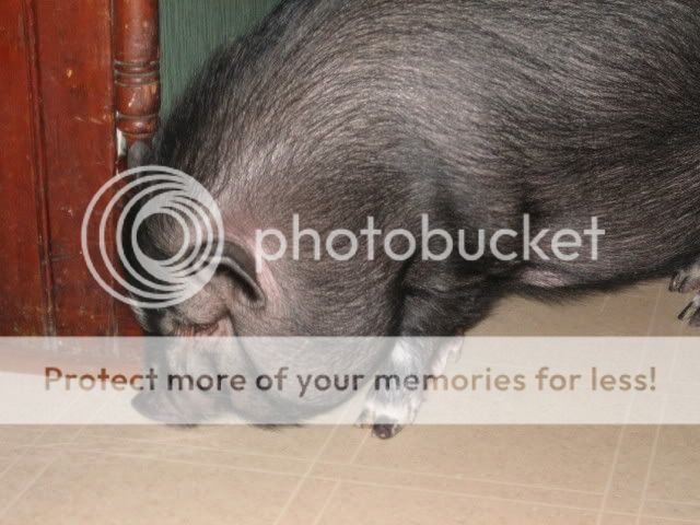 Picture031.jpg