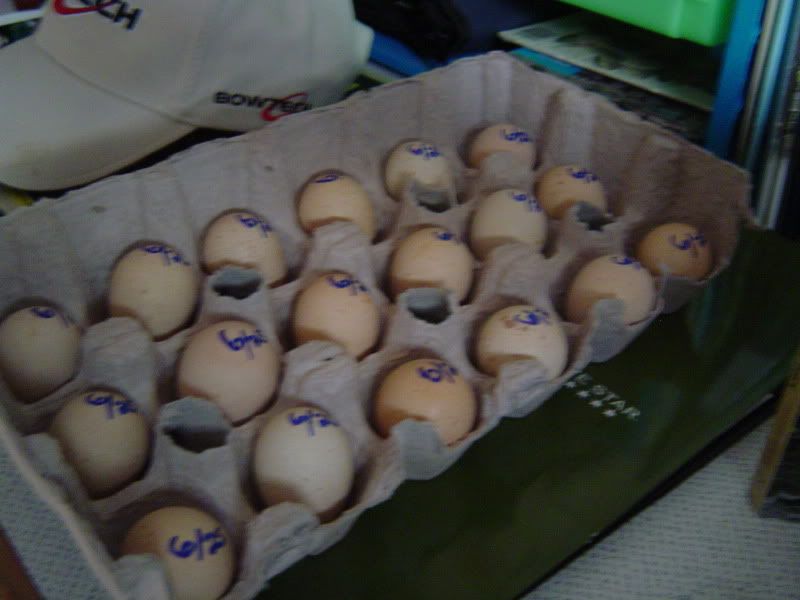 RCandCHUKAR004.jpg