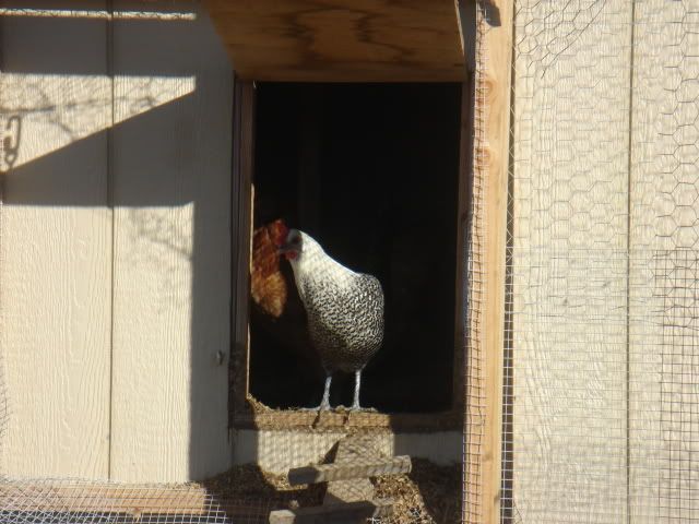 DSC06551.jpg