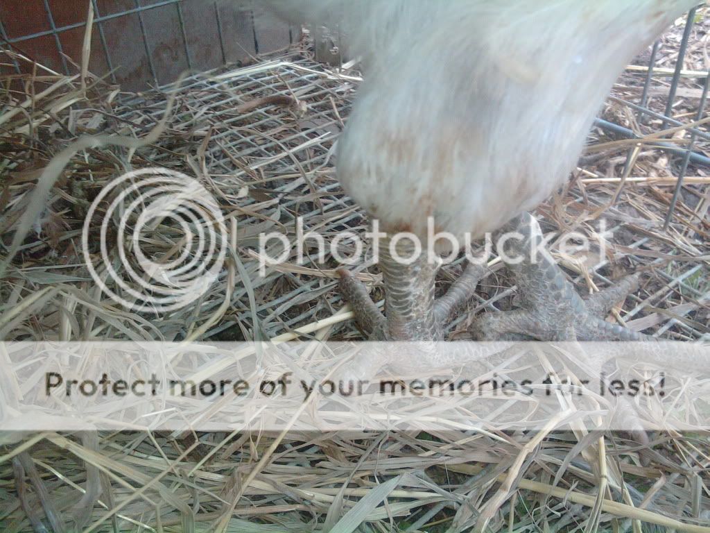 88f00bbd.jpg