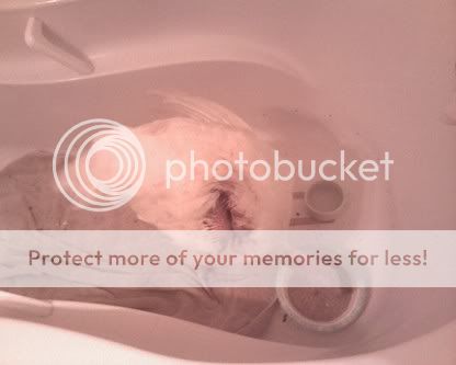 smallellainhospitaltub.jpg