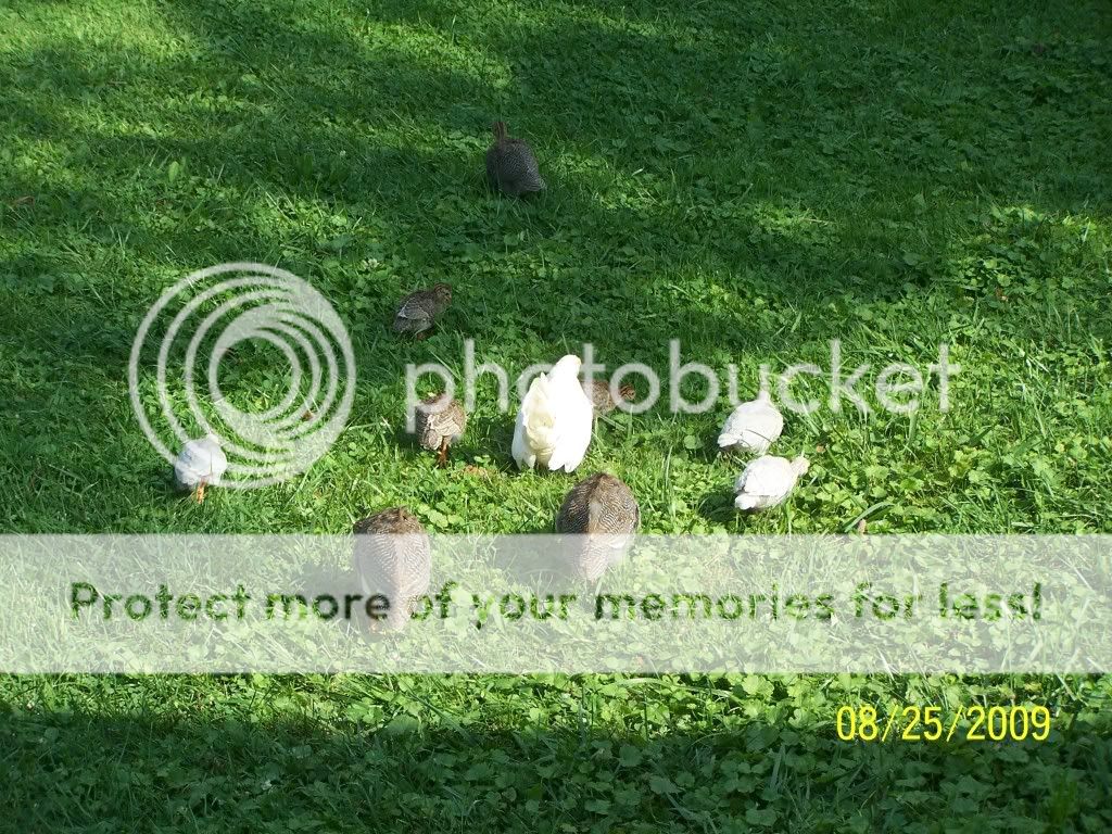 100_6583.jpg