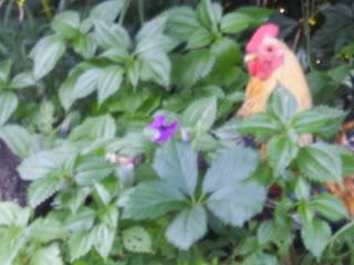 100_1299.jpg