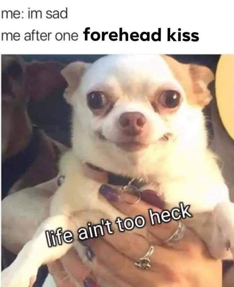 3n0Ept1.jpg