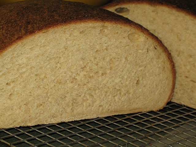 StepsforHoneyWheatBread001-1.jpg