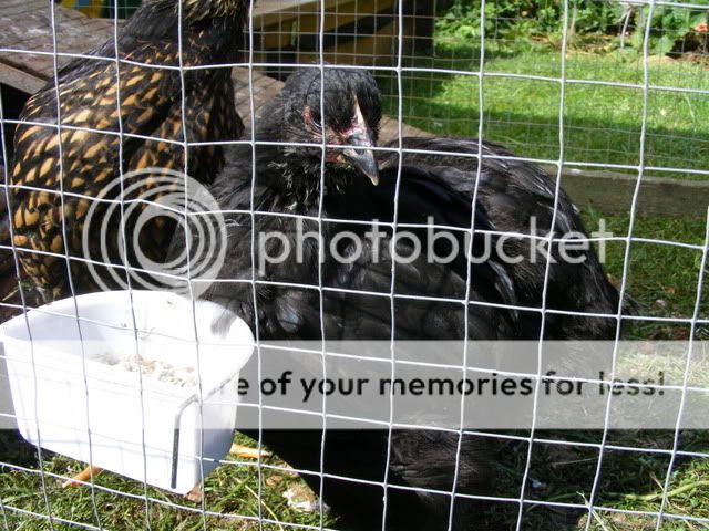 DSCF1059.jpg