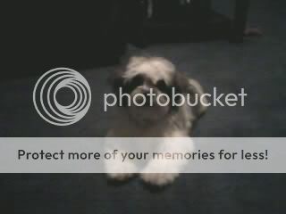 1260224350.jpg