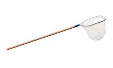 21mM4oRVF1L._SX385_.jpg