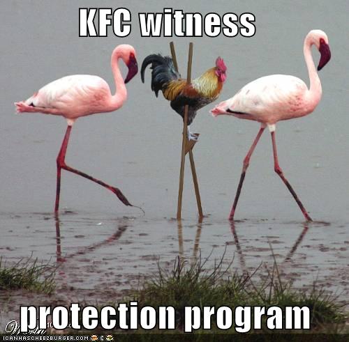 funny-pictures-kfc-chicken-stilts-flamingos.jpg