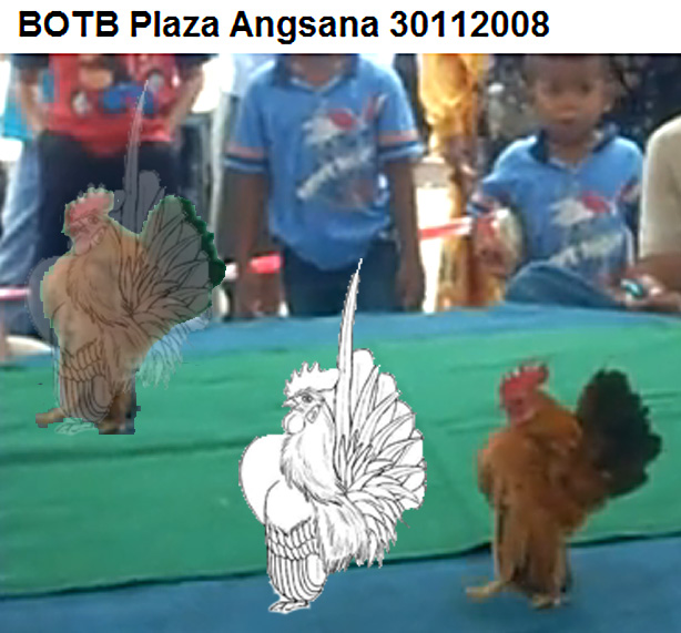 botb.jpg
