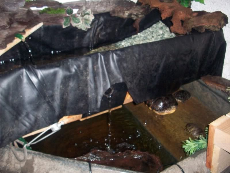 100_8974.jpg