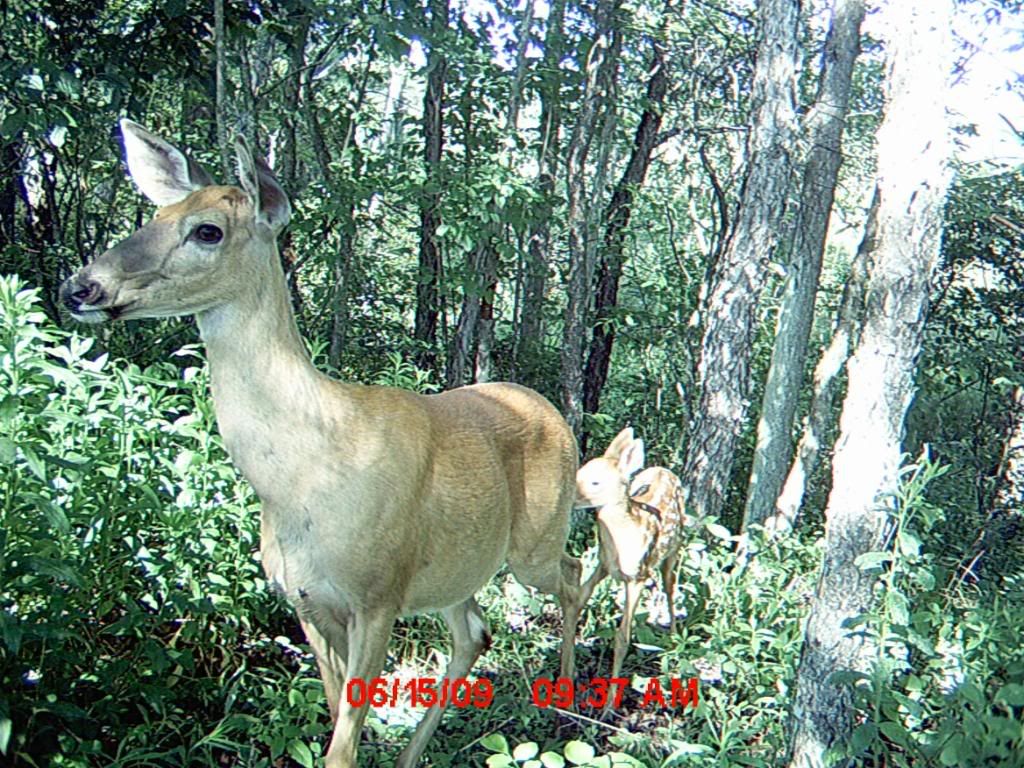trail28.jpg