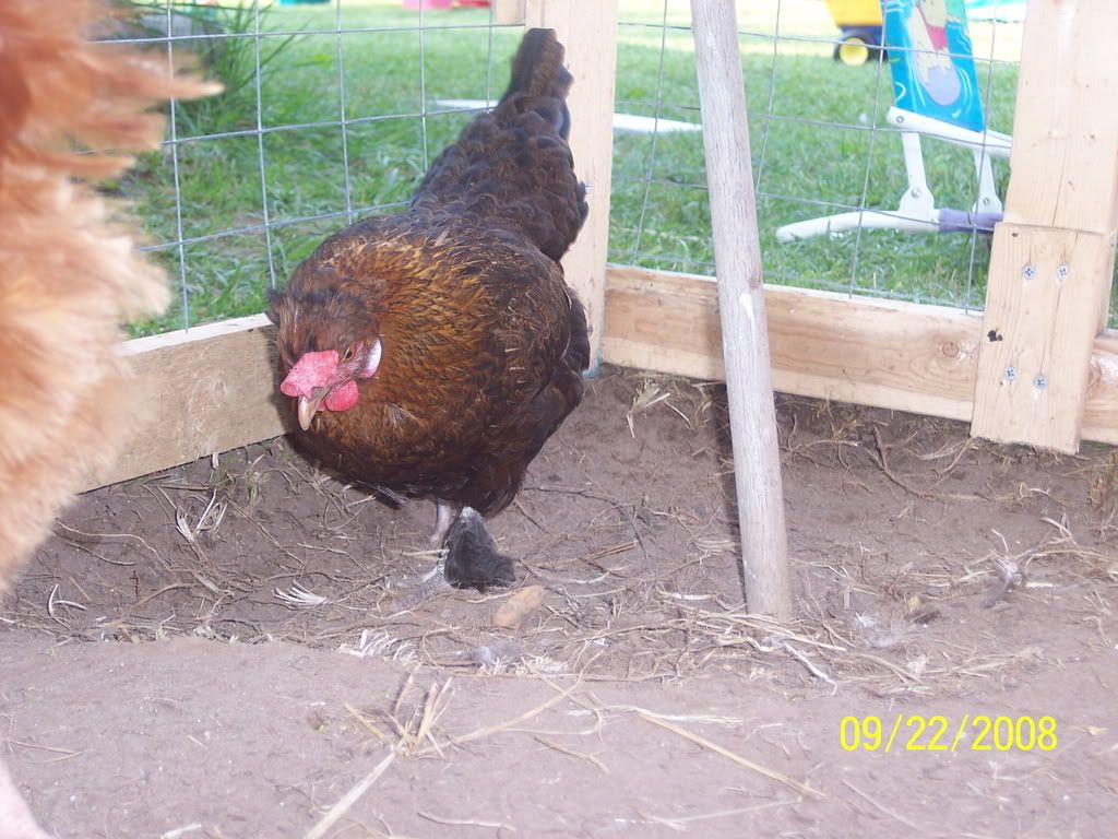 100_2740.jpg