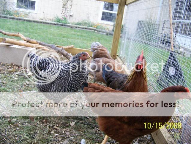 100_2860.jpg