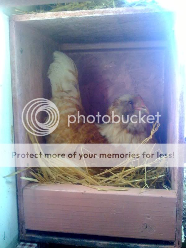 photo58.jpg