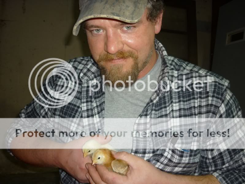 JoshChicks2.jpg