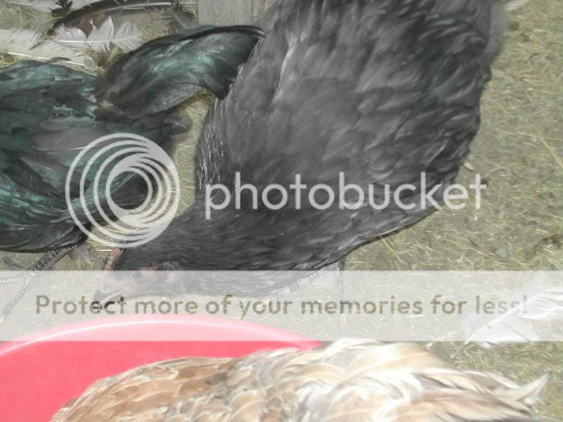 DSCN2847-1.jpg