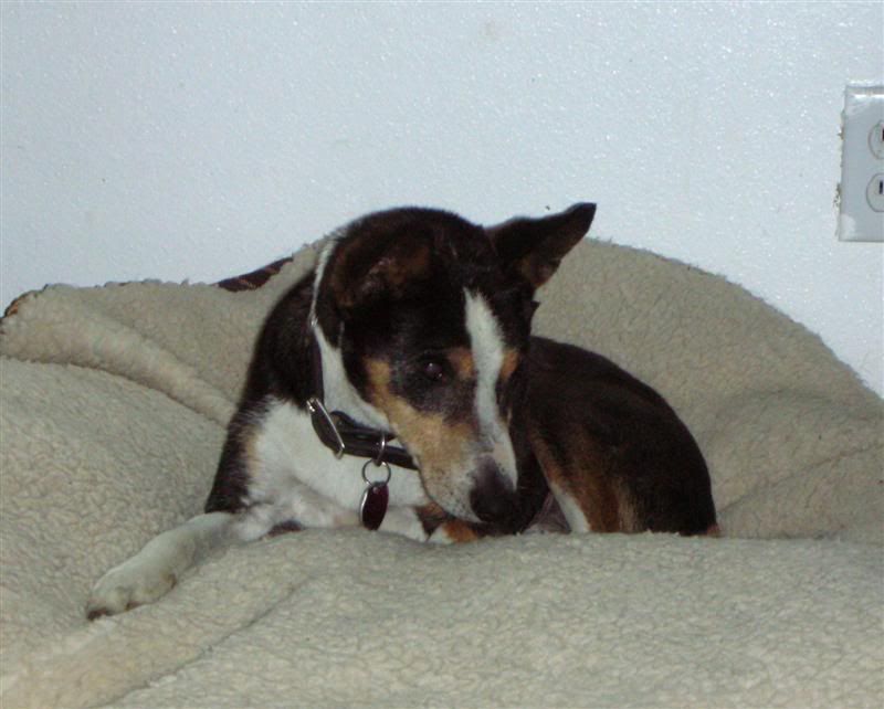 DSCN9059Medium.jpg