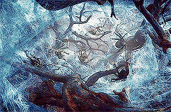 tumblr_ndecv9qbtP1rzuv61o6_250.gif