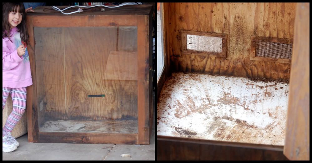 ChickenHutch002-1.jpg