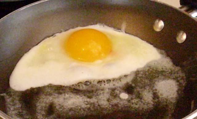 FertileEgg2.jpg