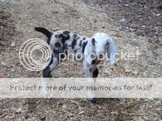 IMG_0653.jpg