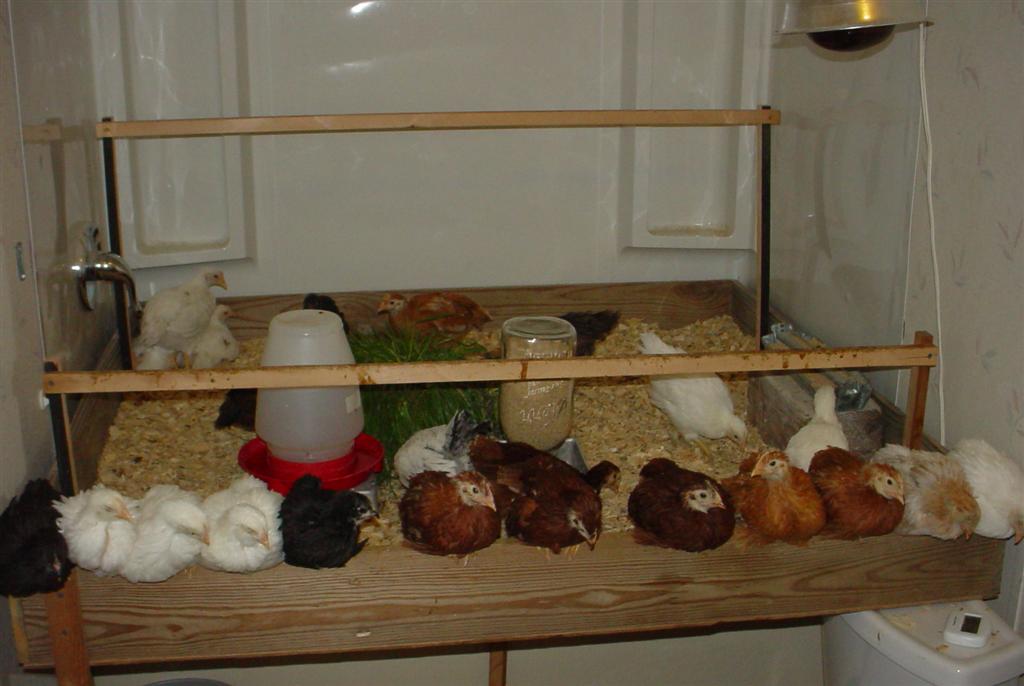 DSC03912%20(Large).jpg