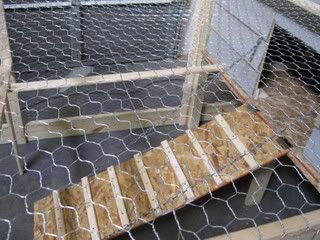 pics035.jpg