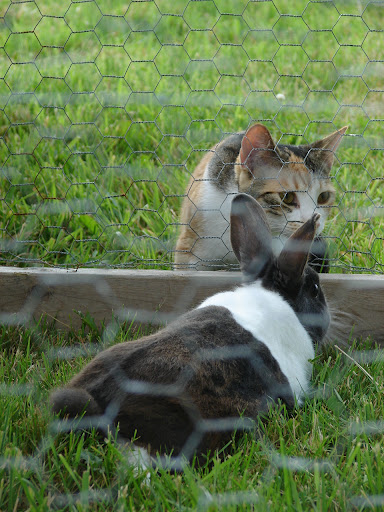 DSC09581.JPG