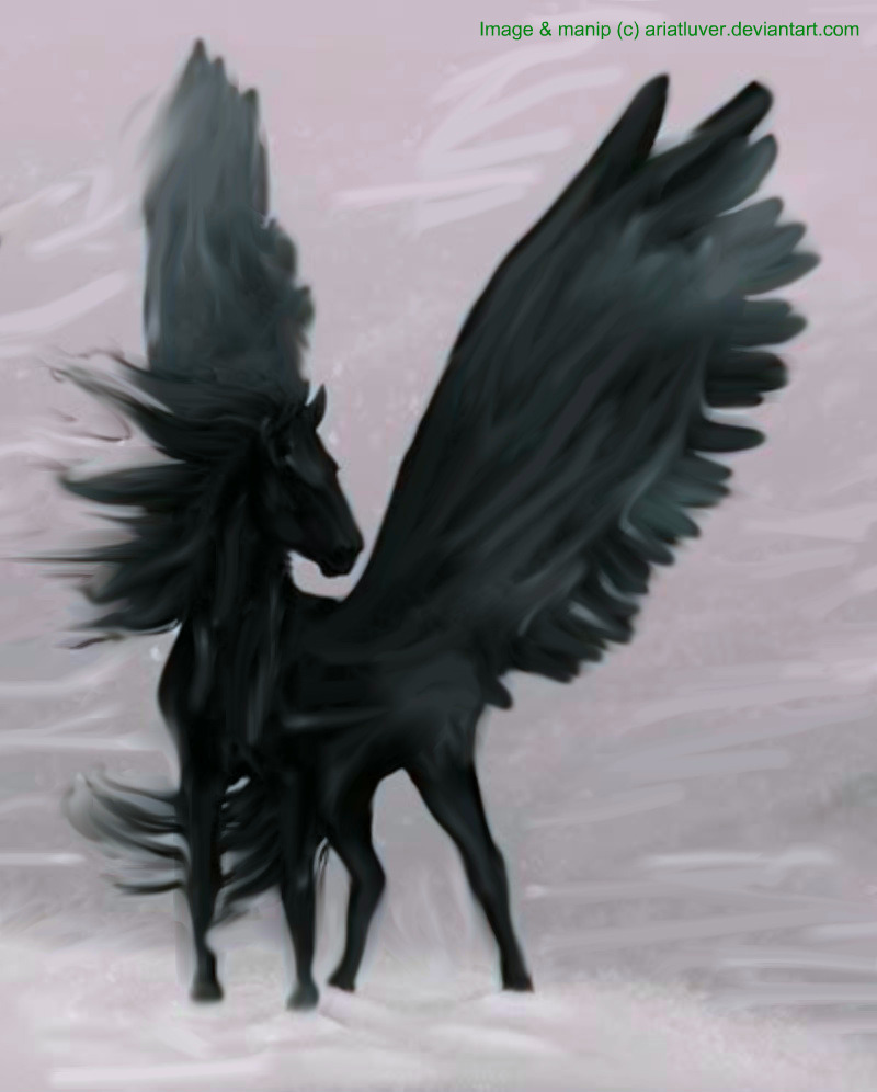Black_Pegasus__Deathly____by_Ariatluver.jpg