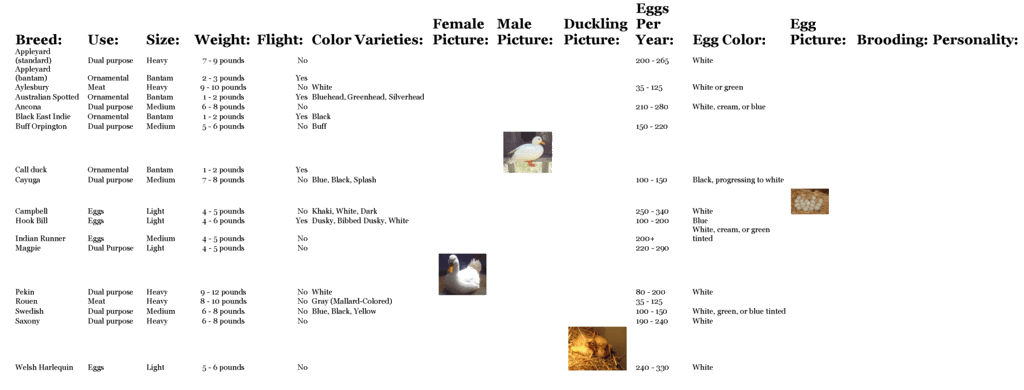 BigDuckChart.gif