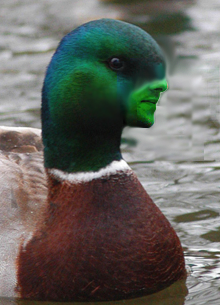 tumblr_inline_mrn0wv9lSm1qz4rgp.png