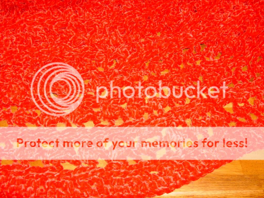 HPIM9741.jpg