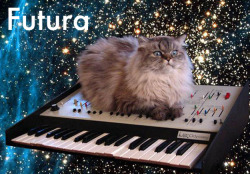 tumblr_lzfmklghT41qzsprzo3_250.jpg
