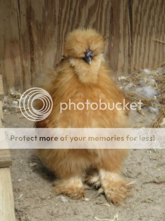 beaker.jpg