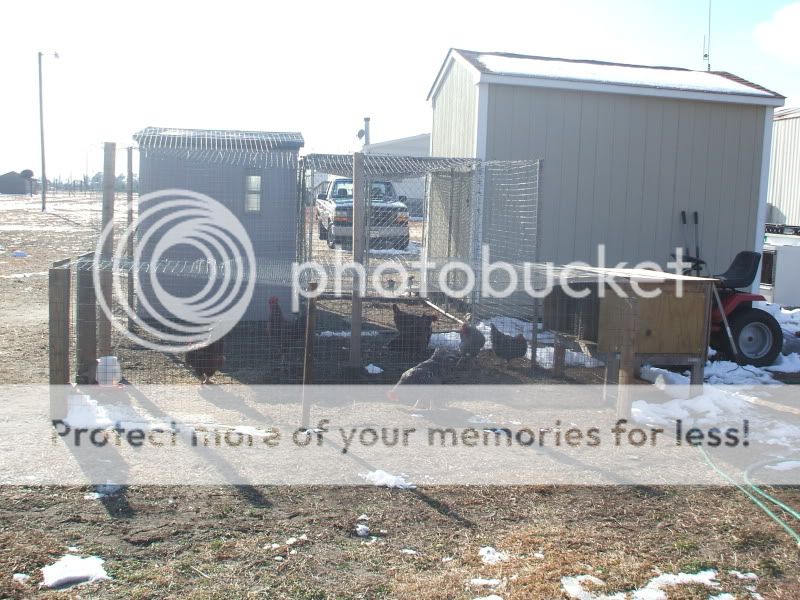 DSCF3078.jpg