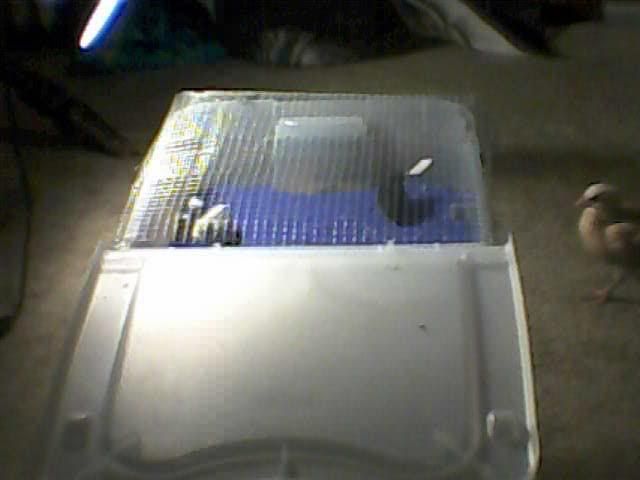 Picture008.jpg