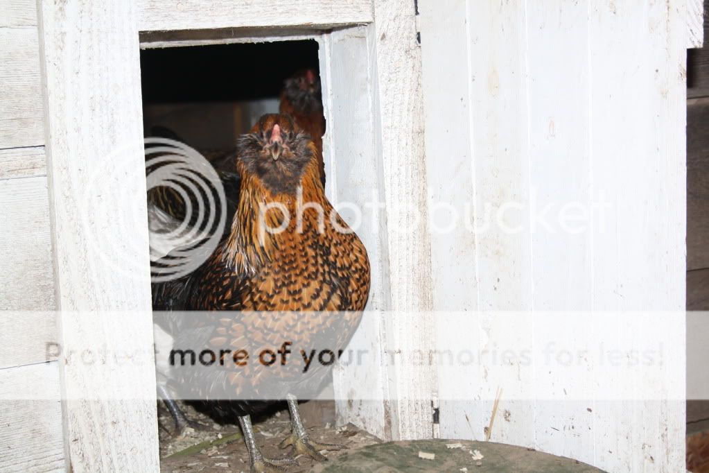 december10toJanuary11030.jpg