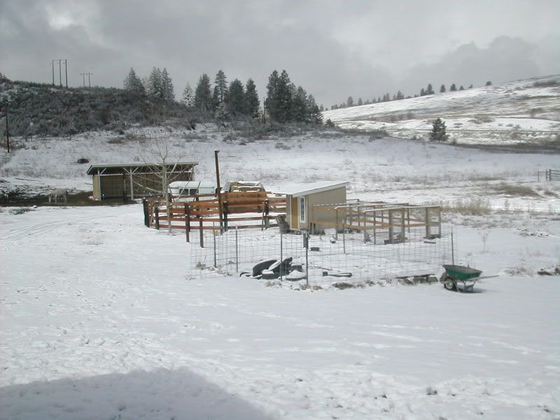 DSCN2473.jpg